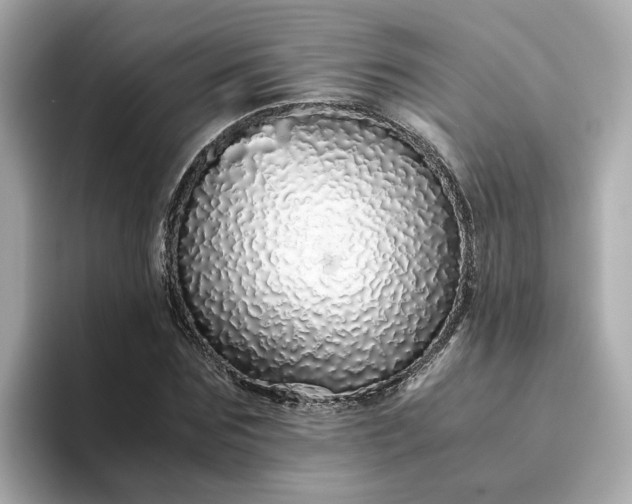 X0000093440875200710261038