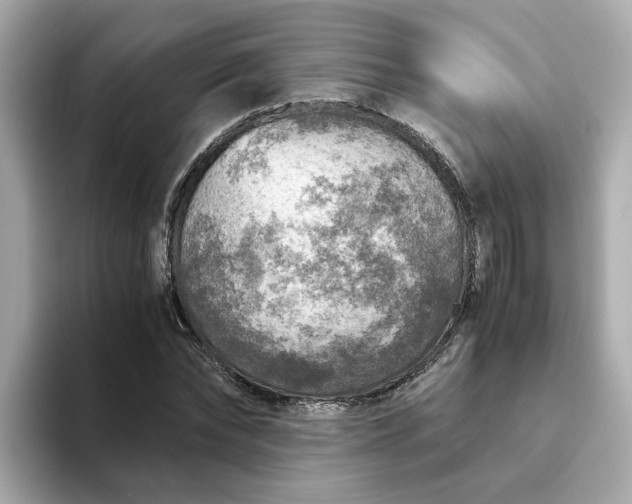 X0000093440878200710261038