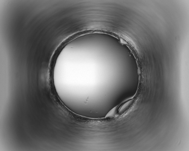 X0000093440880200710261038