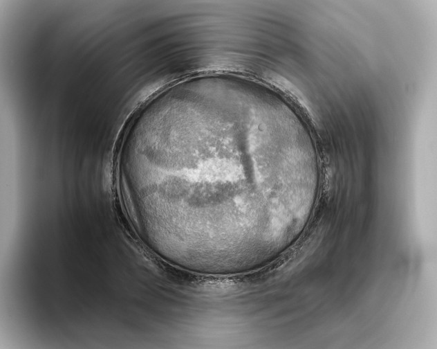 X0000093440882200710261038