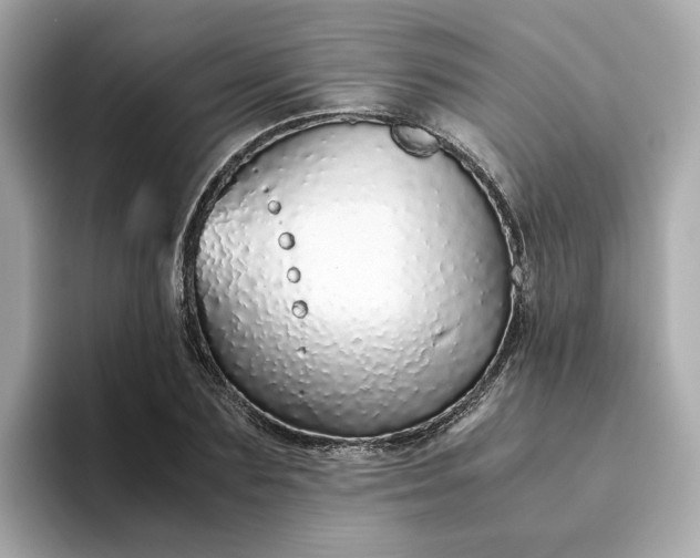 X0000093440883200710261038
