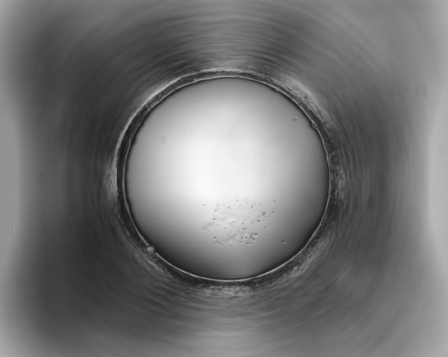 X0000093440884200710261038