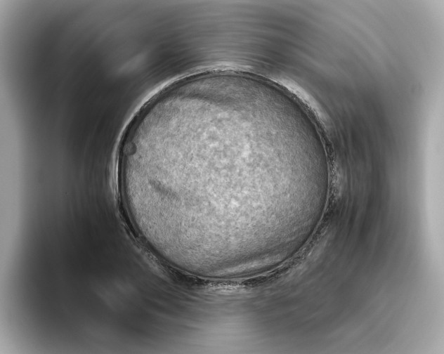X0000093440886200710261038