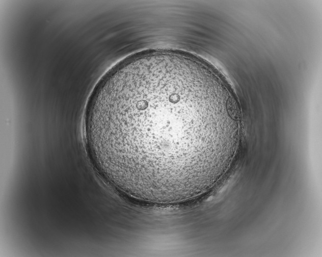 X0000093440887200710261038