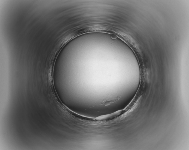X0000093440889200710261038