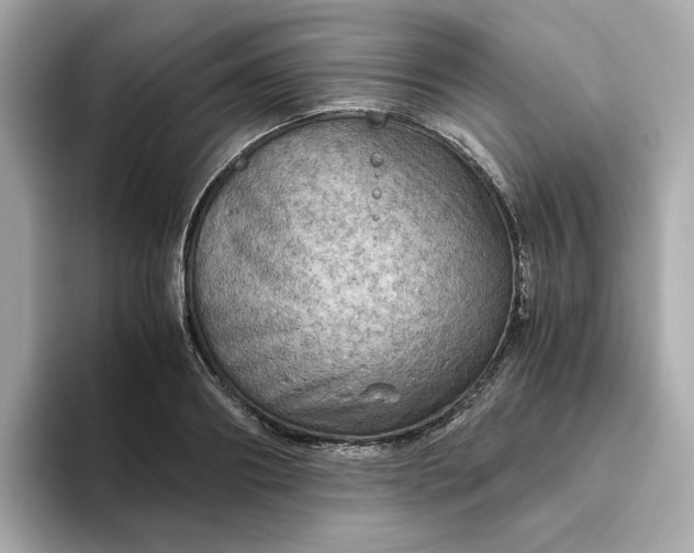X0000093440890200710261038