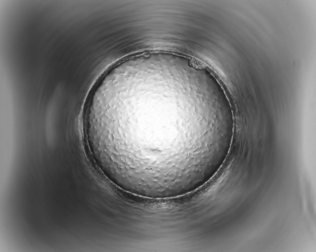 X0000093440891200710261038