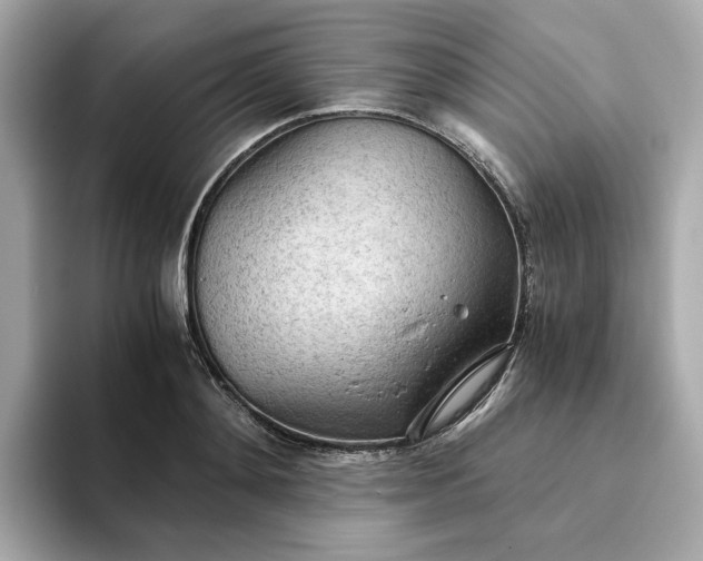 X0000093440892200710261037