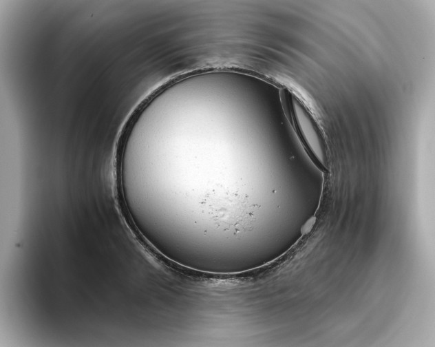 X0000093440894200710261037