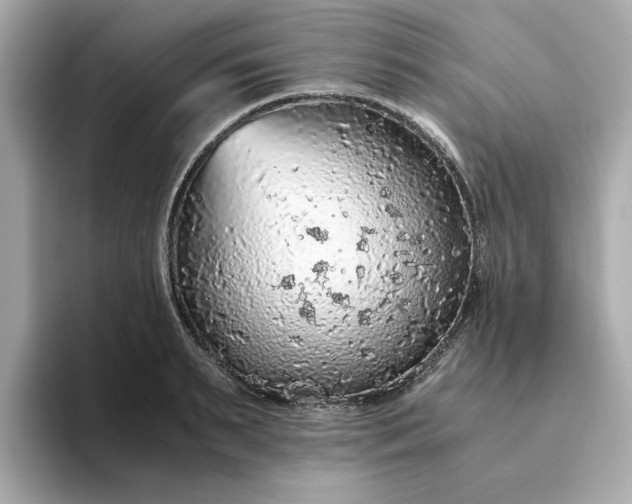 X0000093440895200710261037