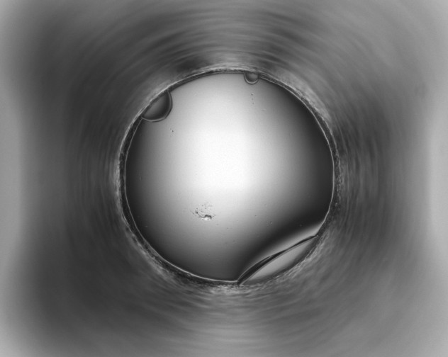 X0000093440898200710261037