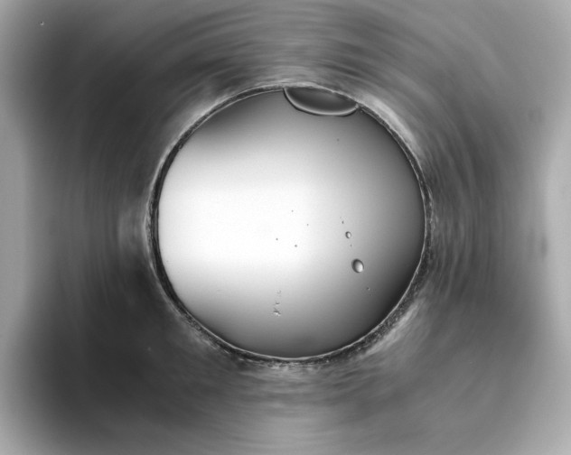 X0000093440901200710261037