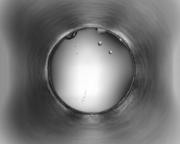X0000093440902200710261037