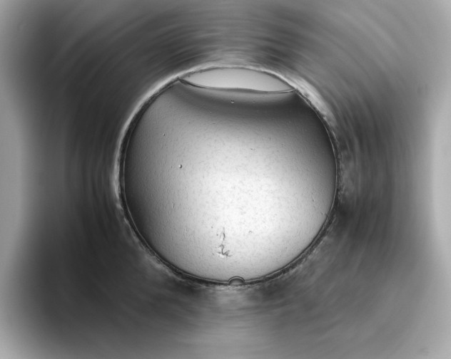 X0000093440904200710261037
