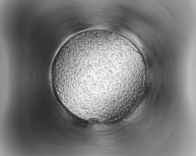X0000093440907200710261037