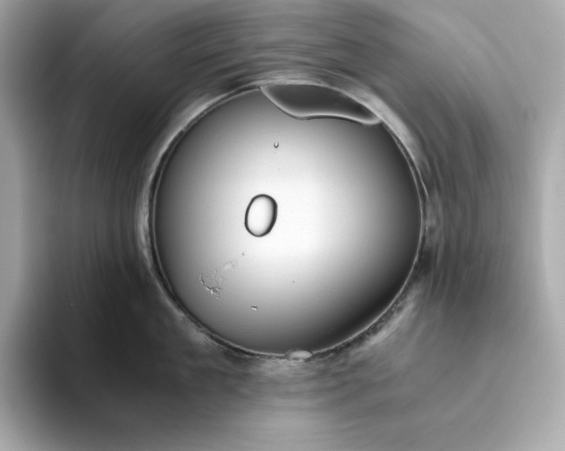 X0000093440909200710261037
