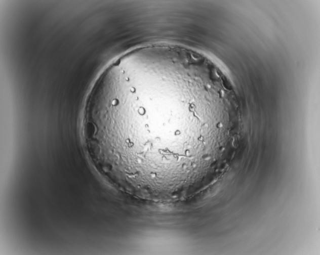 X0000093440911200710261037