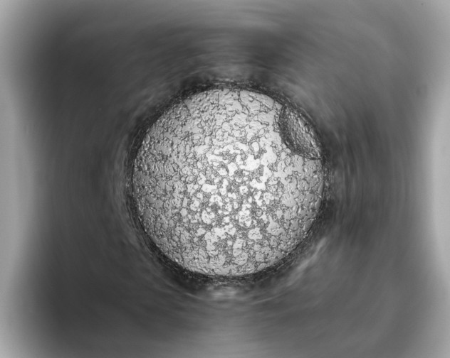 X0000093440913200710261037