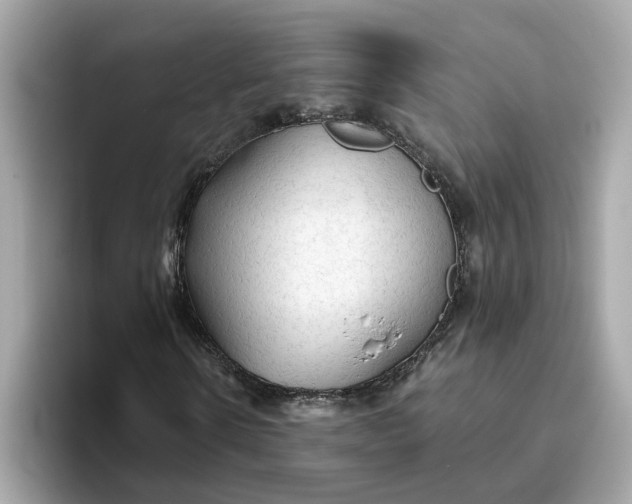 X0000093440914200710261037