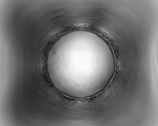 X0000093440917200710261037