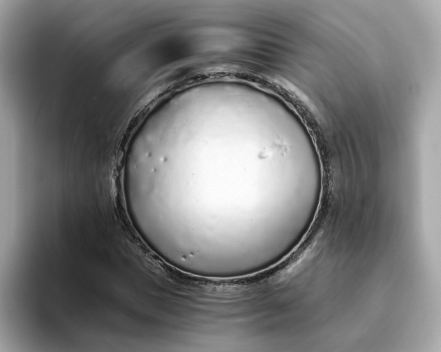 X0000093440921200710261037