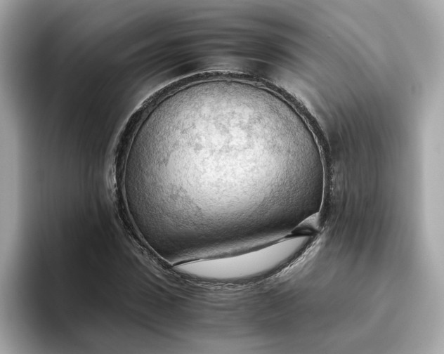 X0000093440923200710261037