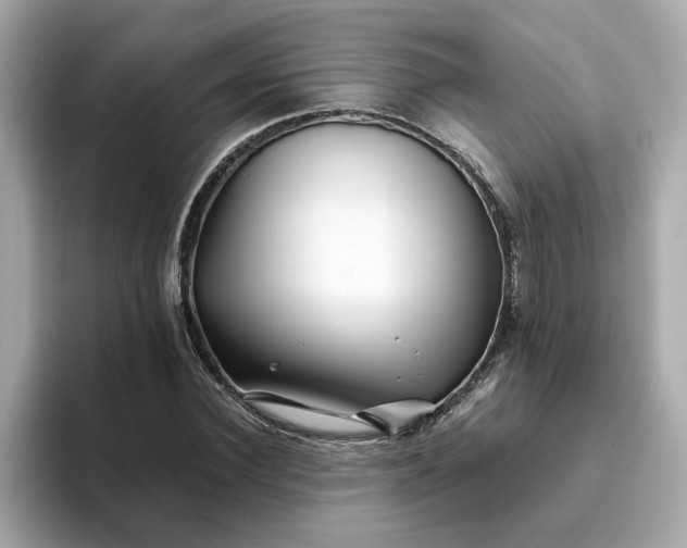 X0000093440924200710261037