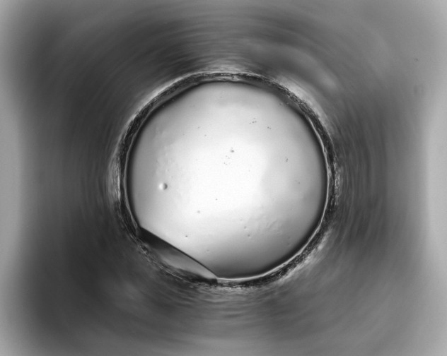 X0000093440925200710261037