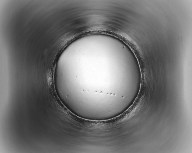 X0000093440929200710261037