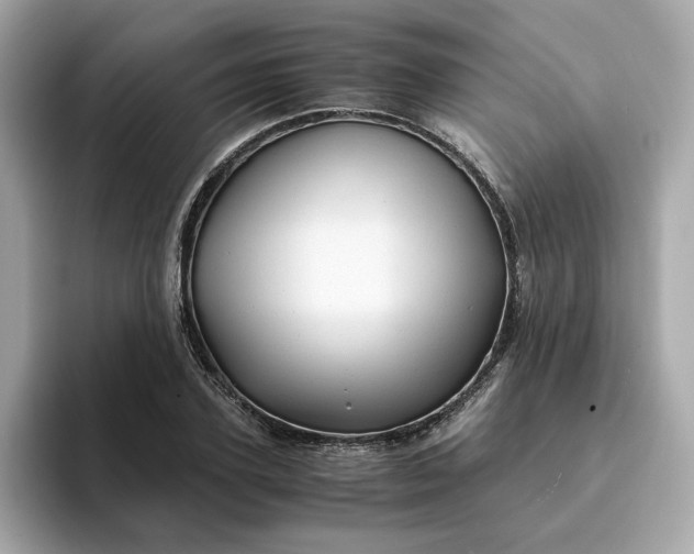 X0000093440931200710261037