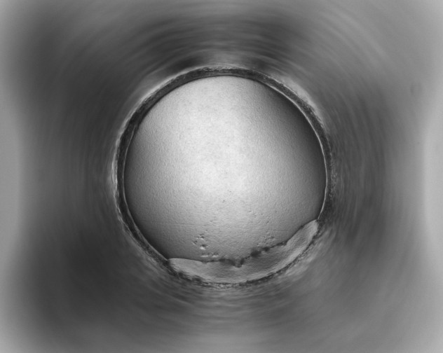 X0000093440935200710261037