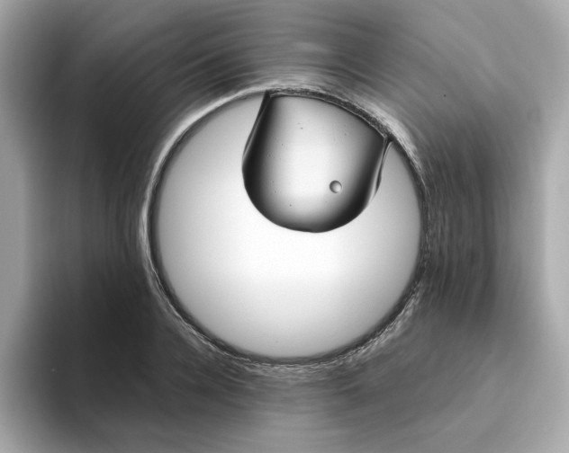 X0000093440936200710261037