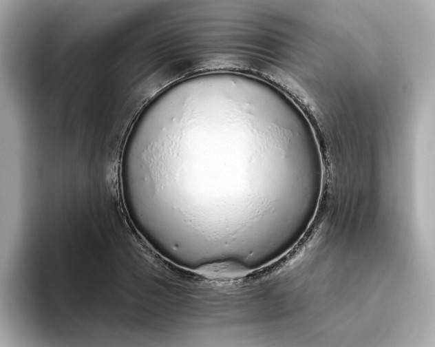 X0000093440937200710261037