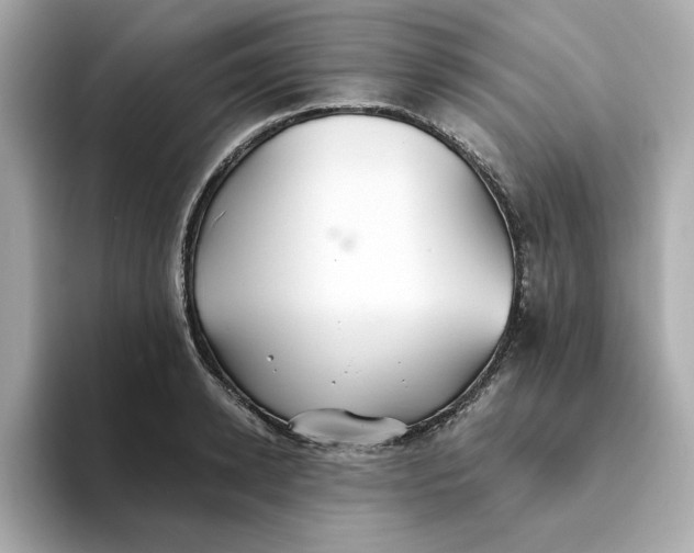 X0000093440942200710261037