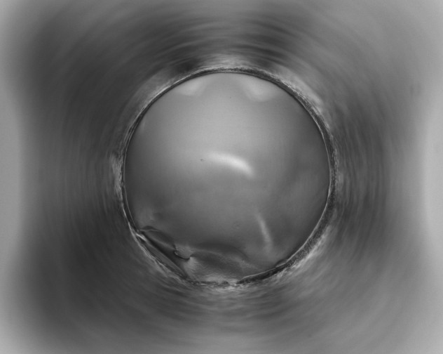 X0000093440945200710261037