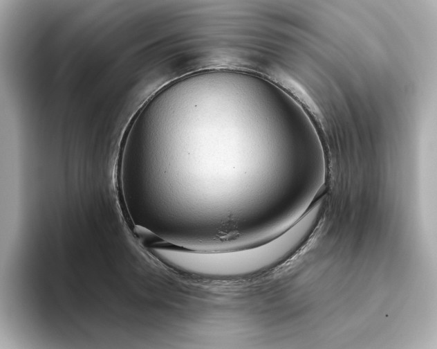 X0000093440946200710261037