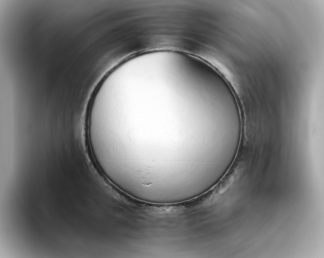 X0000093440949200710261037