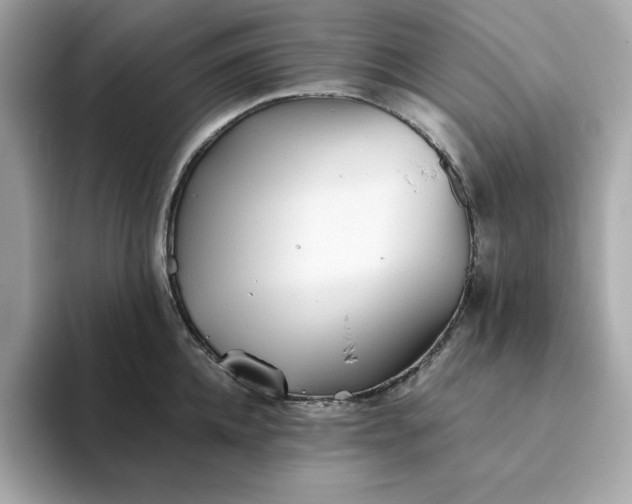 X0000093440952200710261037