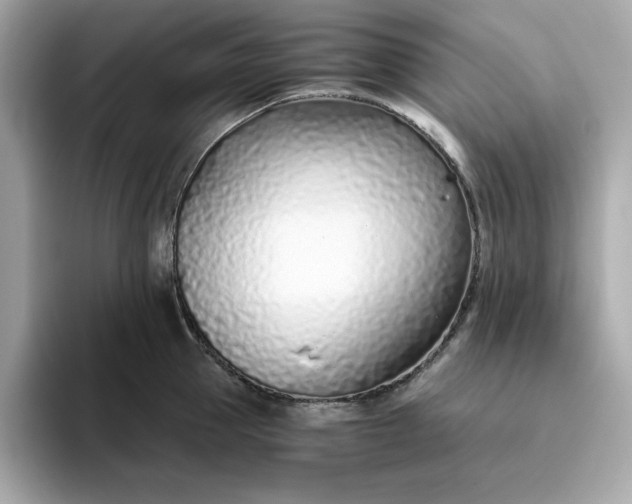 X0000093440953200710261037