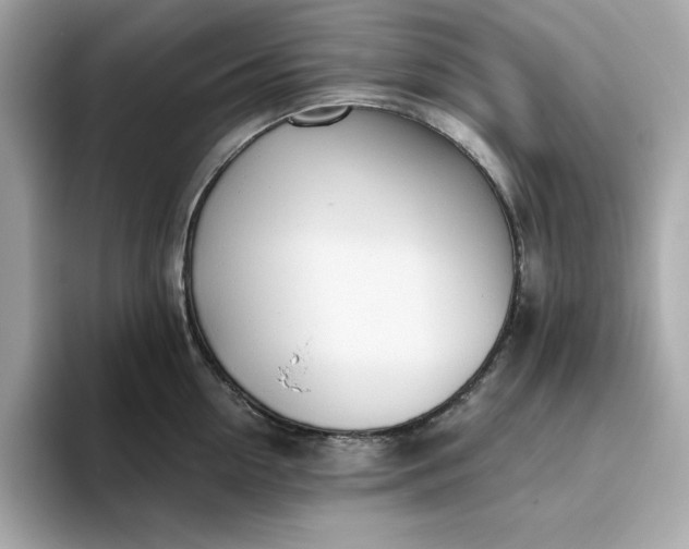 X0000093440954200710261037