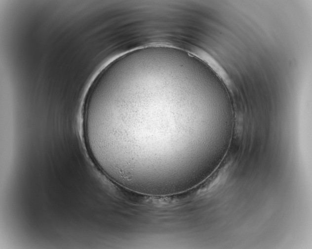 X0000093440955200710261037