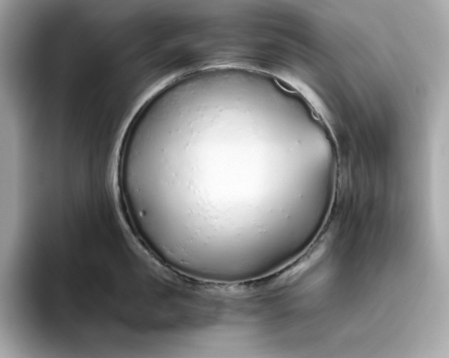 X0000093440957200710261037