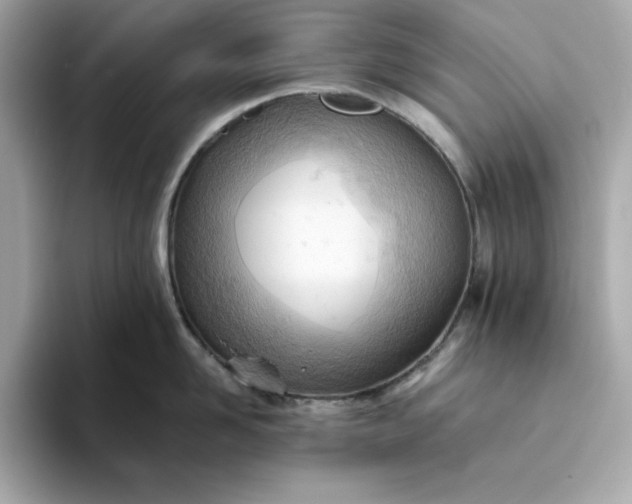 X0000093440958200710261037