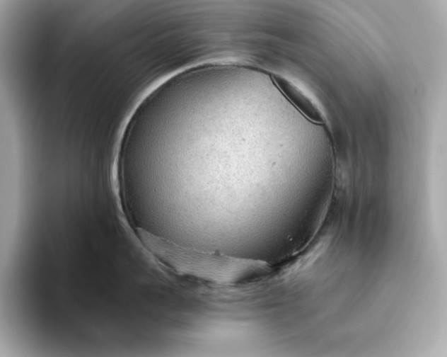 X0000093440959200710261037
