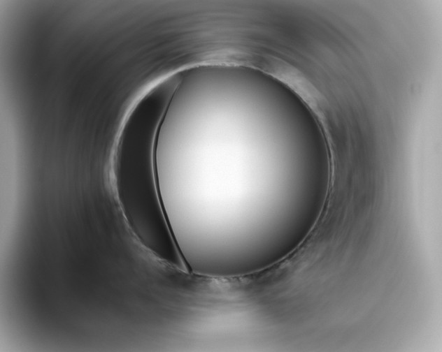 X0000093440960200710261037