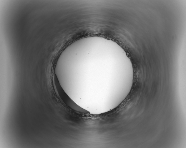 X0000093440961200710261037