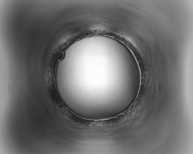 X0000093440967200710261036