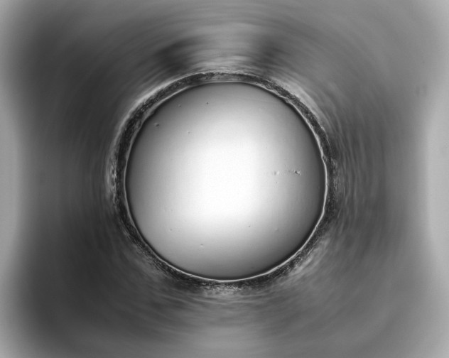 X0000093440971200710261036