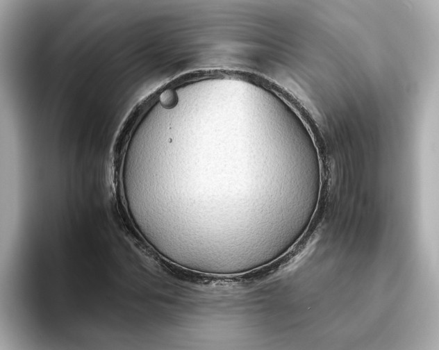 X0000093440974200710261036