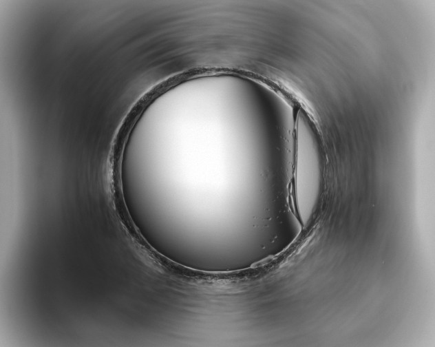 X0000093440976200710261036